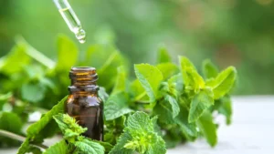 peppermint oil