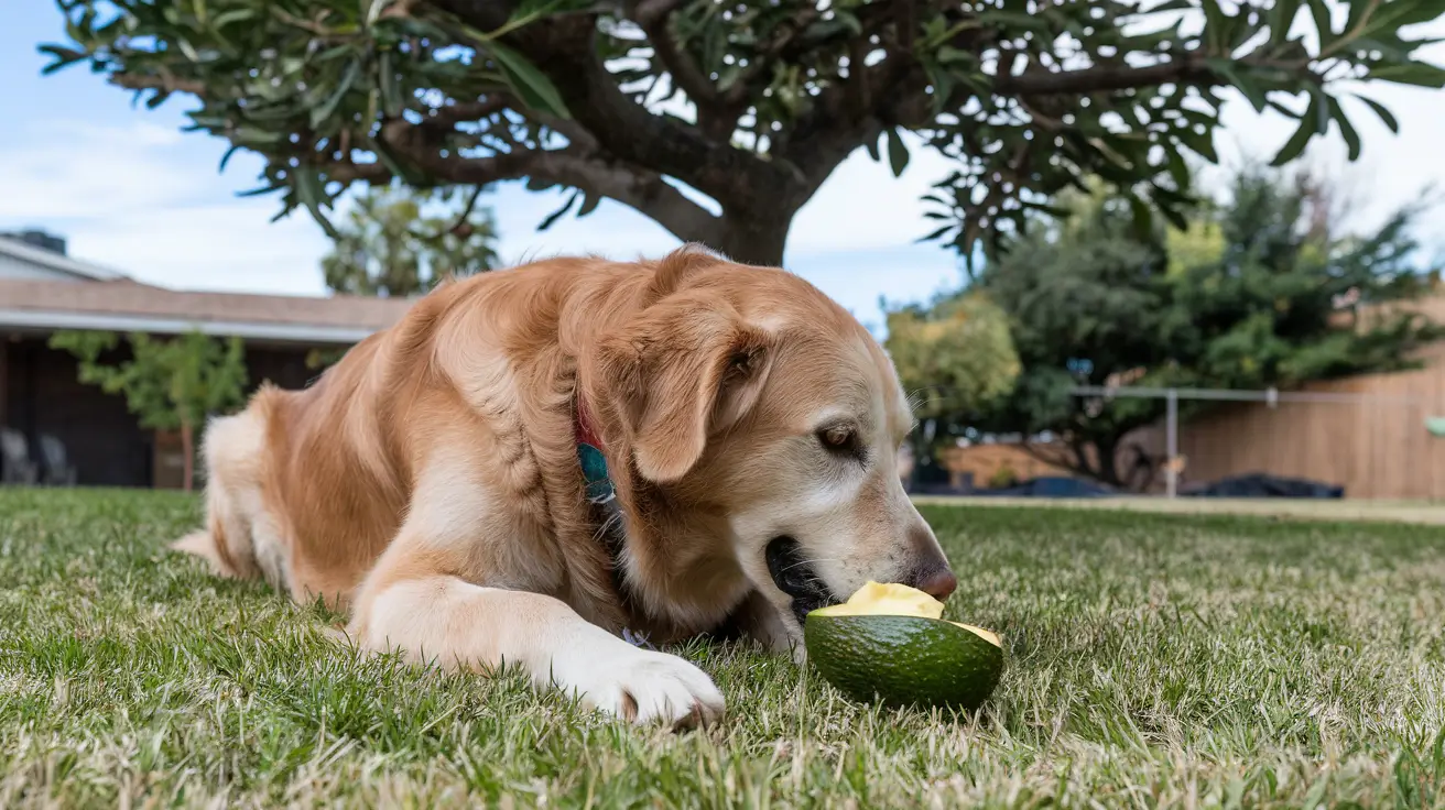 dog eating an avocado